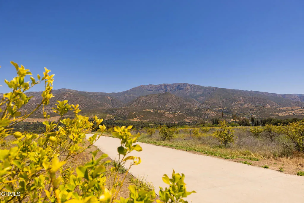 S8C_122400 Ojai Santa Paula Rd_013