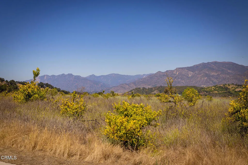 S8C_122400 Ojai Santa Paula Rd_010