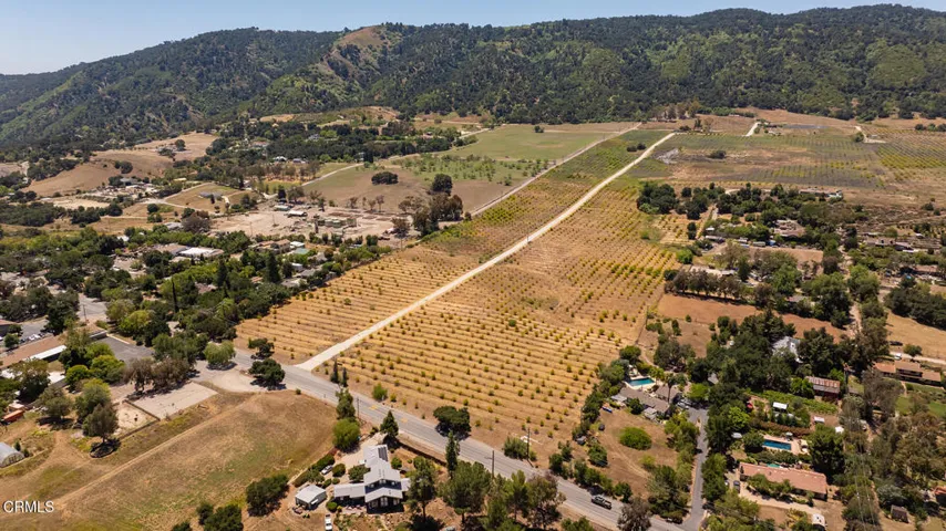 S8C_122400 Ojai Santa Paula Rd_027