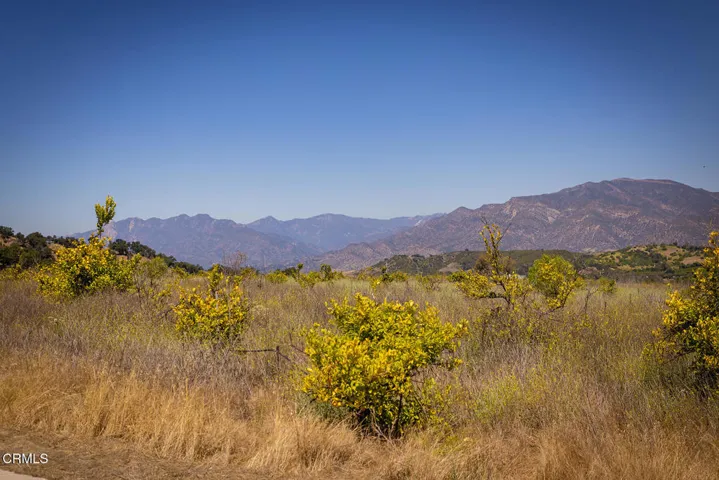 S8C_122400 Ojai Santa Paula Rd_010