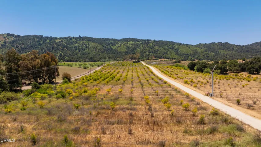 S8C_122400 Ojai Santa Paula Rd_003