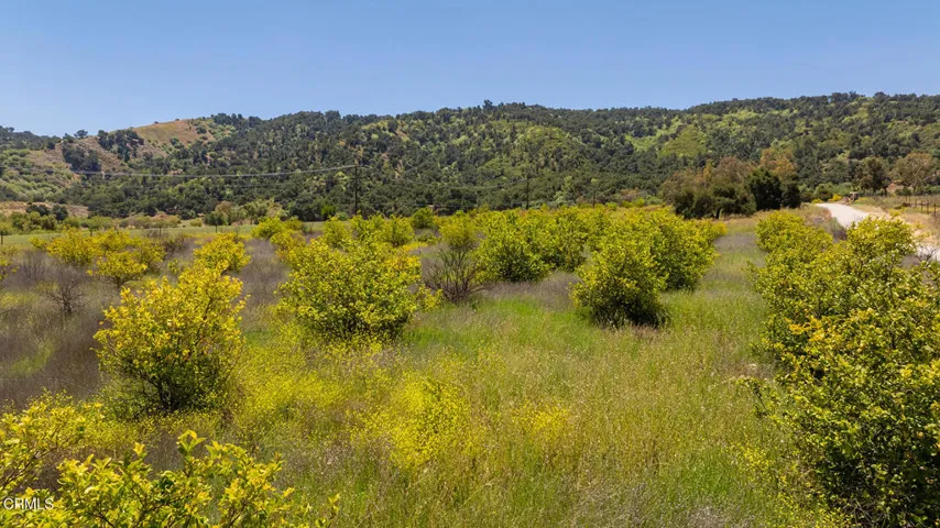 S8C_122400 Ojai Santa Paula Rd_016