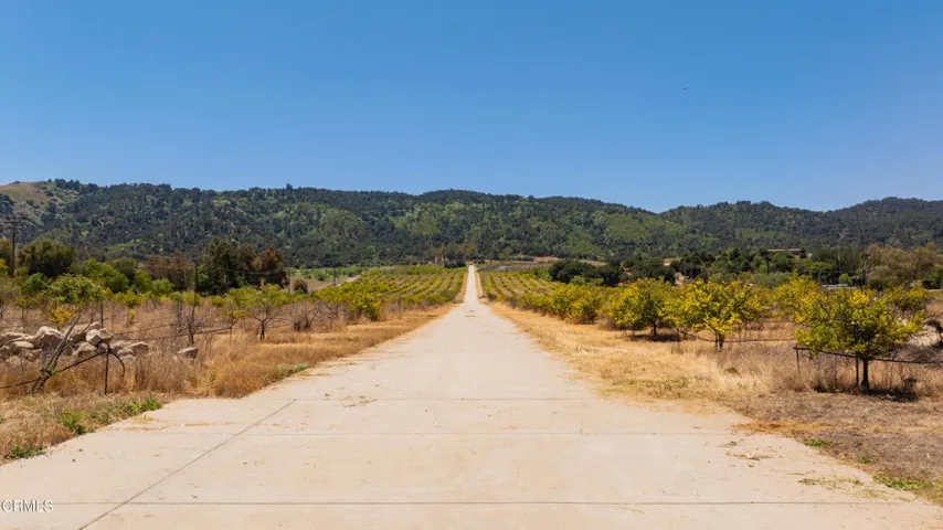 S8C_122400 Ojai Santa Paula Rd_002