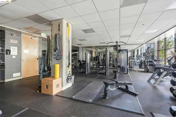 Fitness center featuring extensive exercise equipment, rubber flooring, mirrored walls, ample natural light, and a drop ceiling