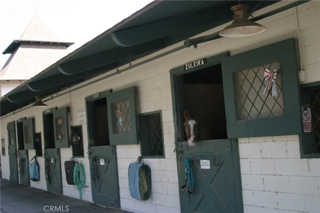 Access to riding stables  (discounted riding offered)