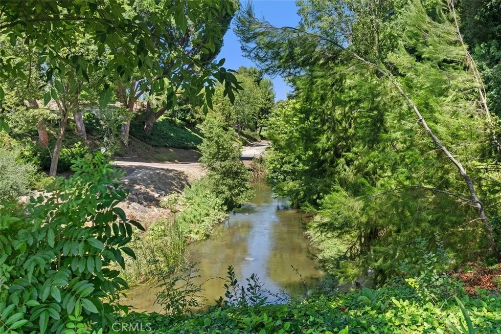 Close to Creek