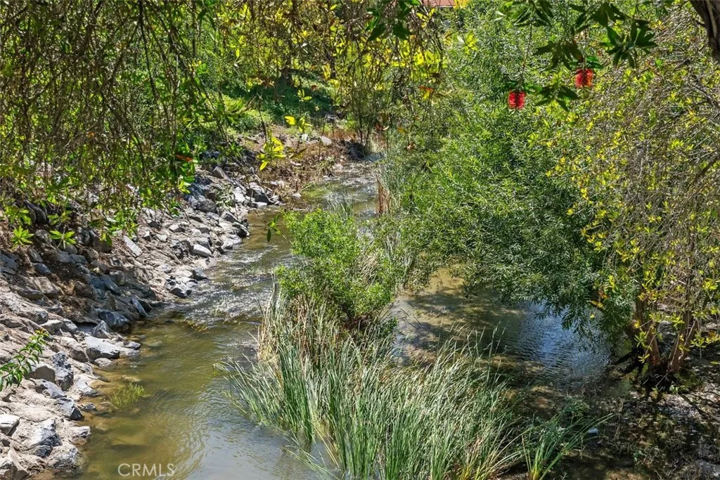 Enjoy Laguna Woods Creek