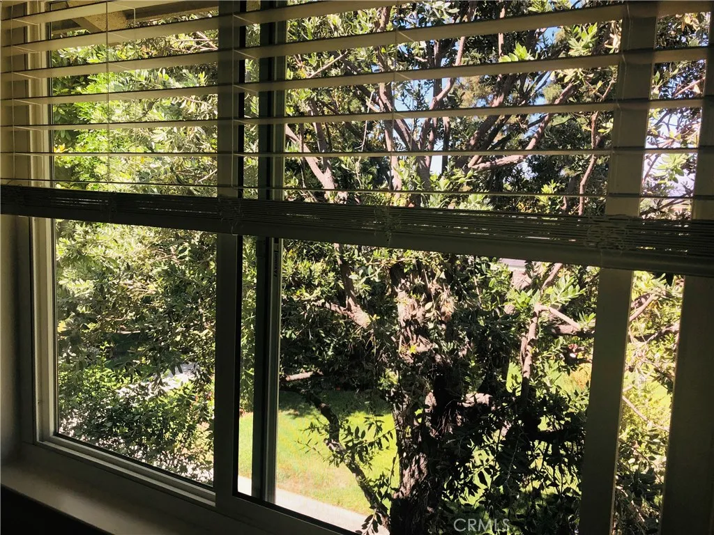 Master Bedroom's views (with birds serenading)
