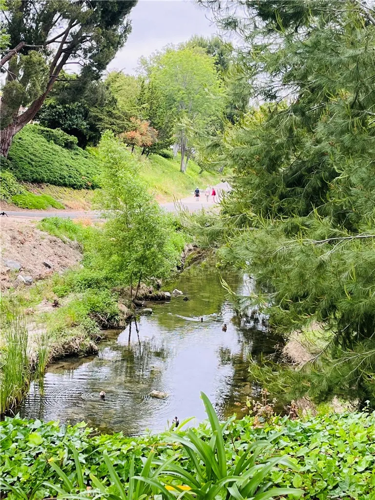 (nearby creek)