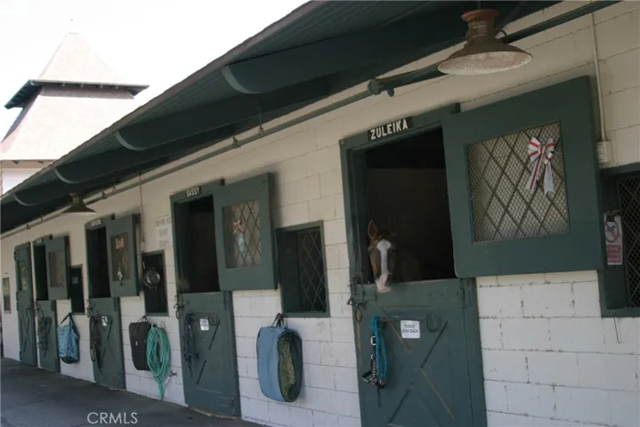 Access to riding stables  (discounted riding offered)