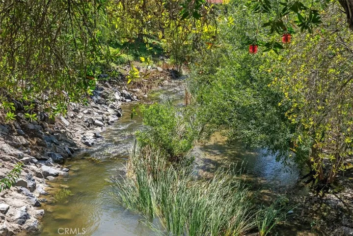 Enjoy Laguna Woods Creek