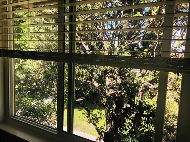 Master Bedroom's views (with birds serenading)
