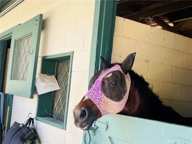 Stables to Board your horse or rent