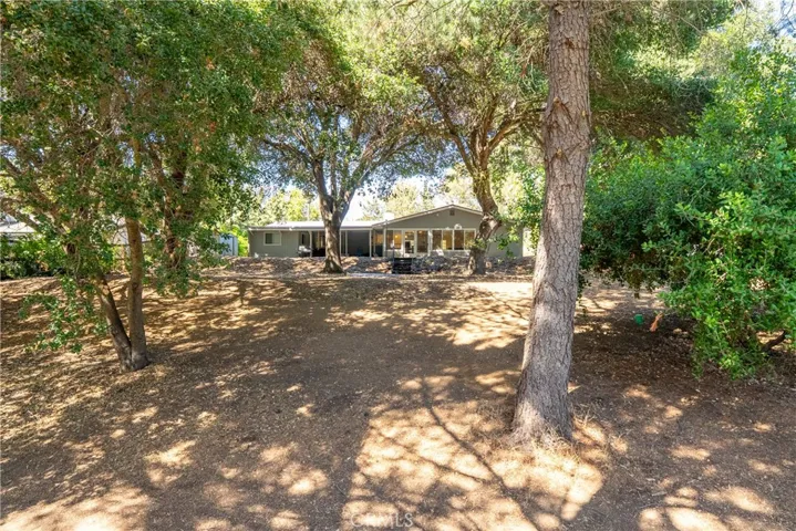 Out back you will immediately feel at peace. The owners took years to carefully cultivate the tranquil environment.