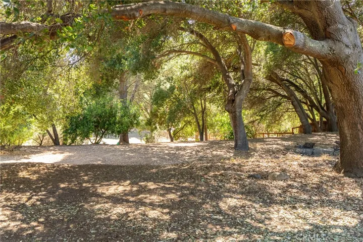 Mature trees make you feel secluded and give a wonderful sense of privacy.