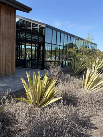 1105 Catania Court 203, Encinitas, California 92024
