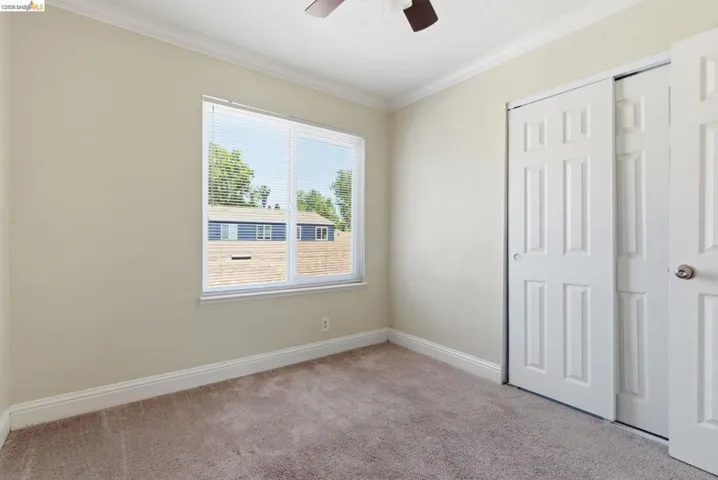 Neutral-toned wall paint and plush carpet flooring complement a window with horizontal blinds