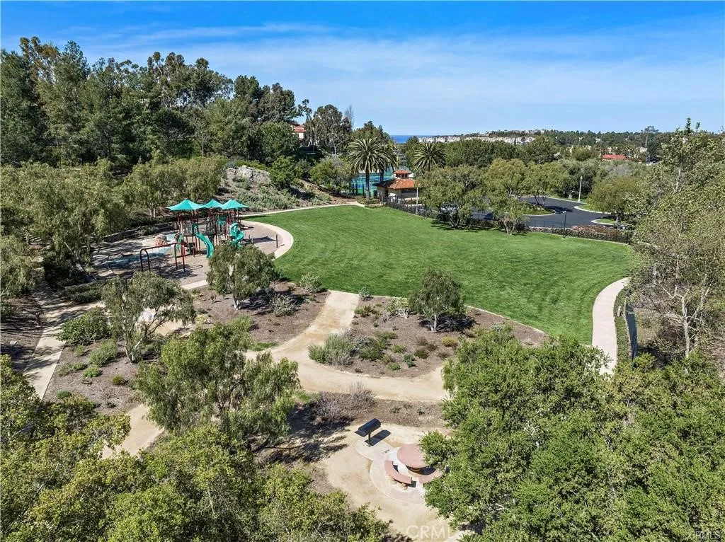 Master HOA park with children's play gym equipment