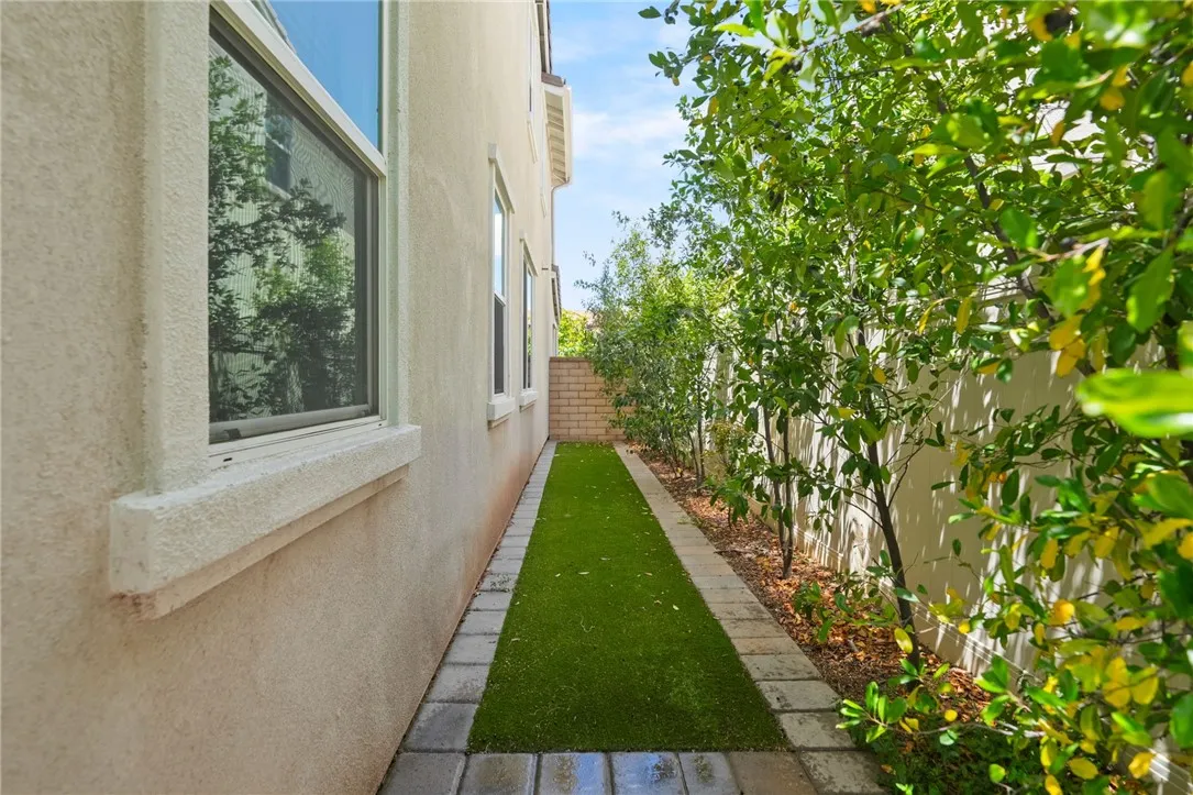 Side yard/dog run