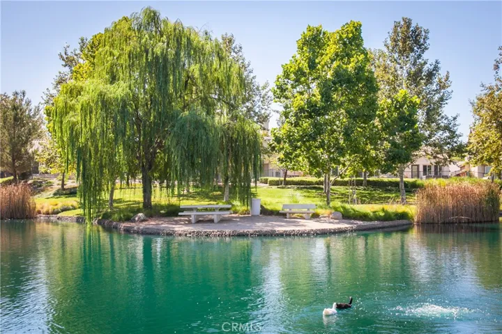 38539 Divot, Beaumont, California 92223