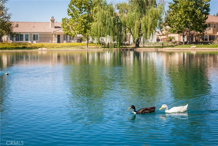 38539 Divot, Beaumont, California 92223