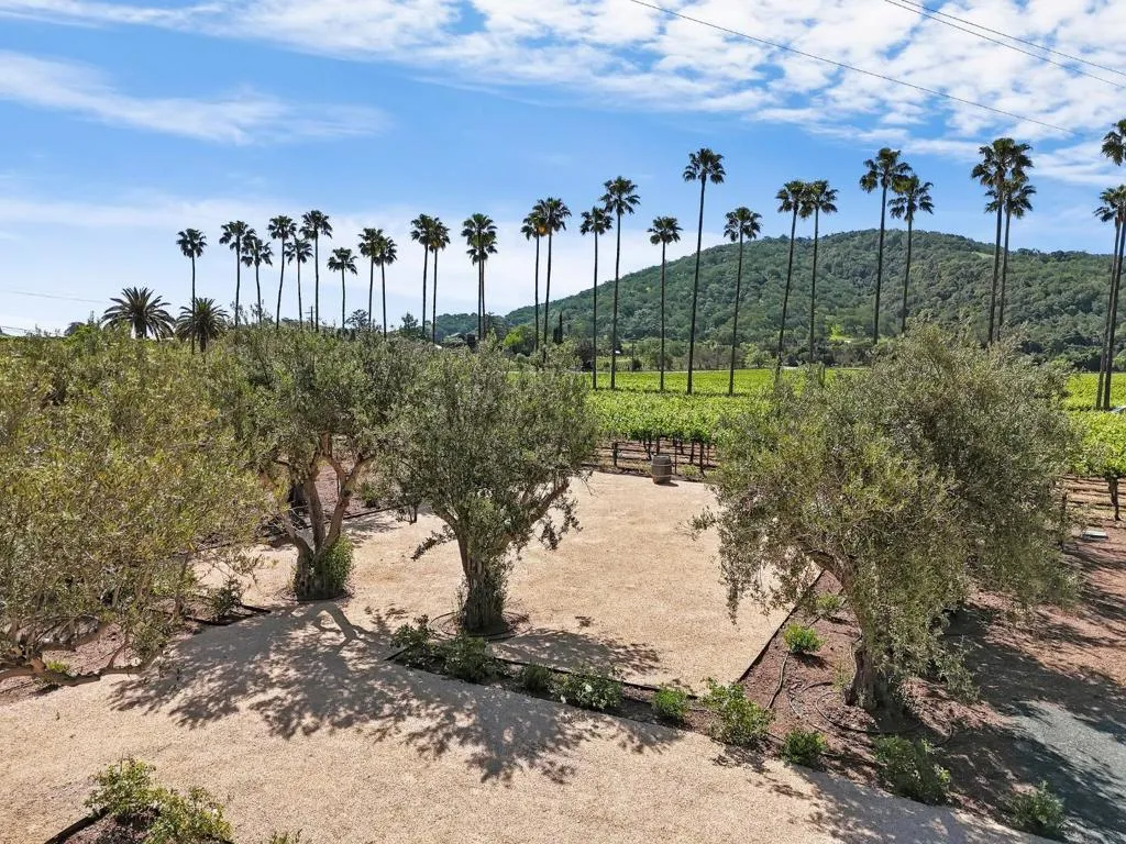 11775 Watsonville Road, Gilroy, California 95020 — photo 4