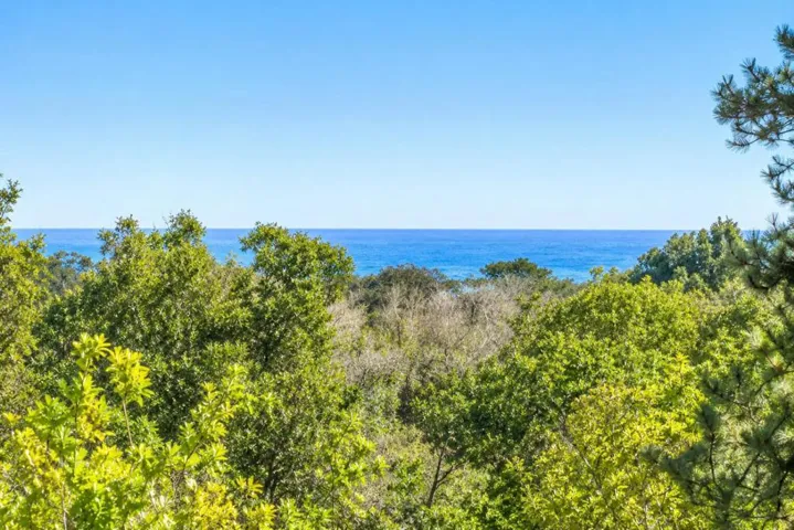 22 Hollins Drive, Santa Cruz, California 95060