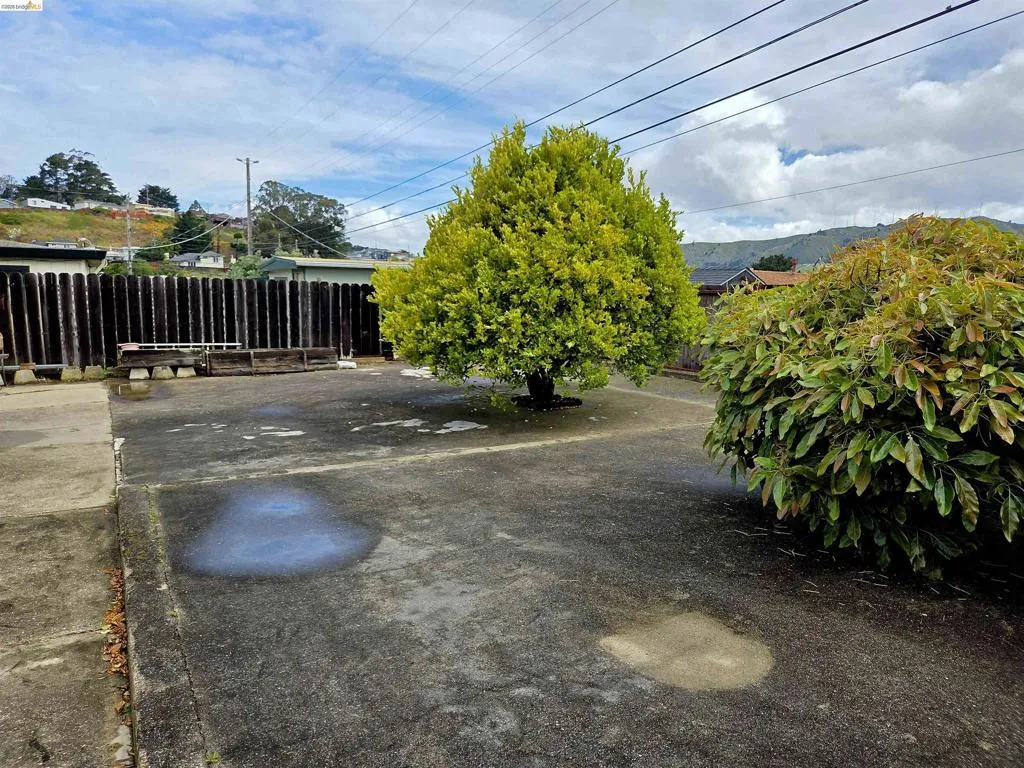 Paved outdoor area featuring mature trees and established perimeter fencing