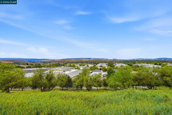 5206 Fioli Loop, San Ramon, California 94582