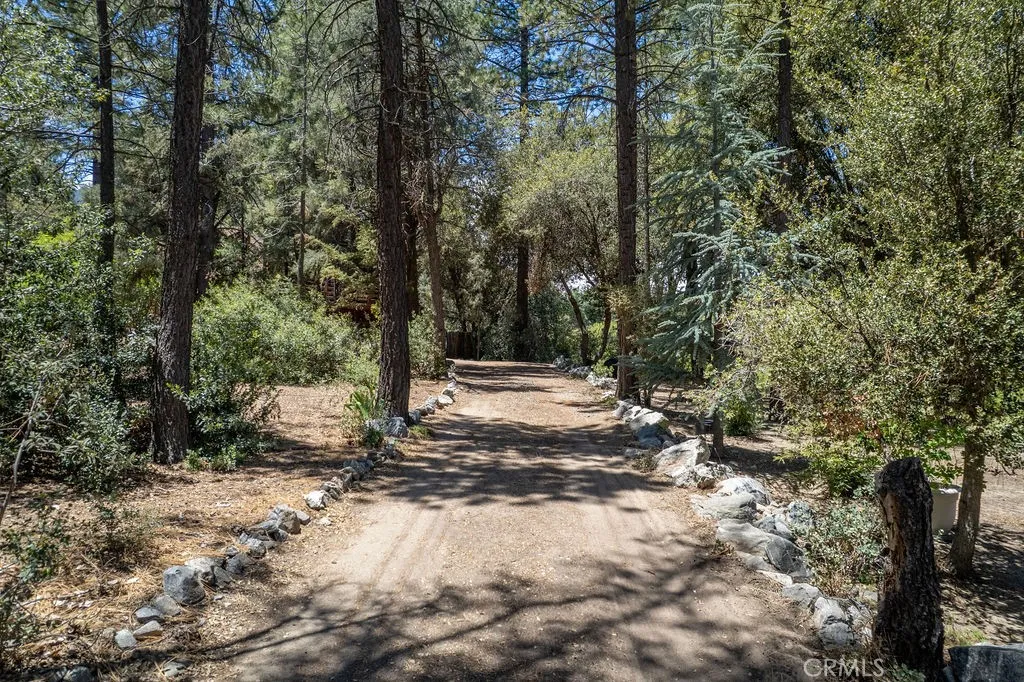 Arriving down this leafy driveway, the main building comes into sight first.