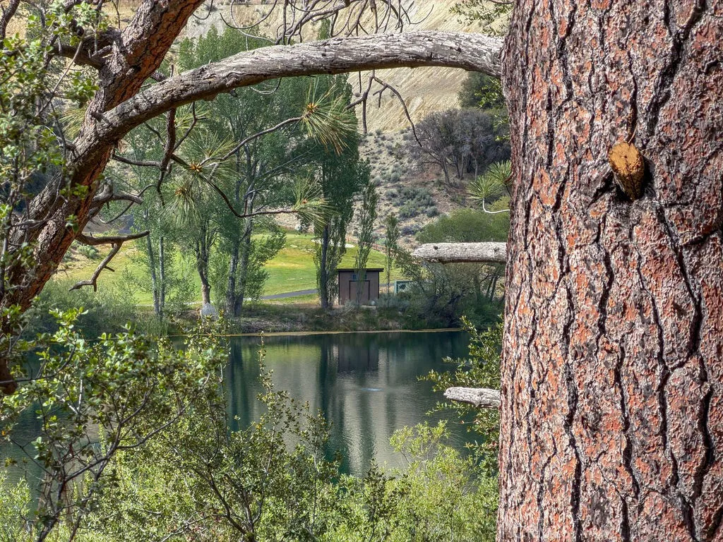 From the deck, a portion of the lake is seen through the trees.