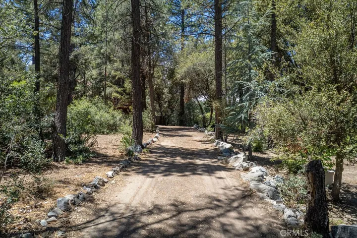 Arriving down this leafy driveway, the main building comes into sight first.