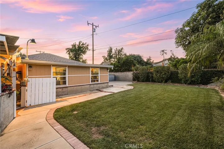 Back Yard