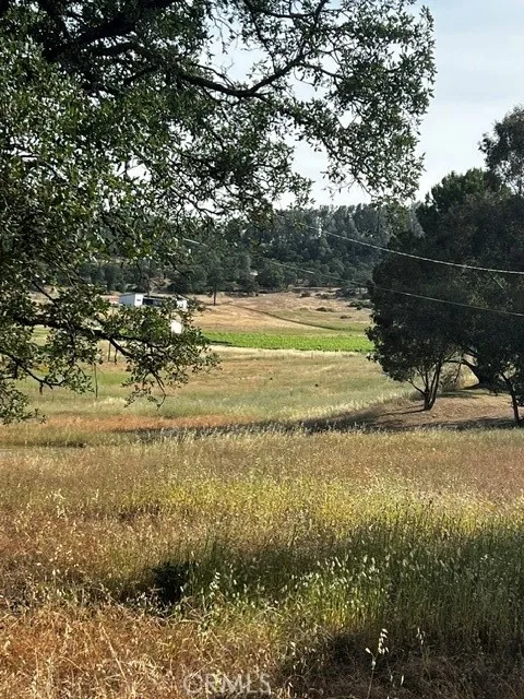 The View