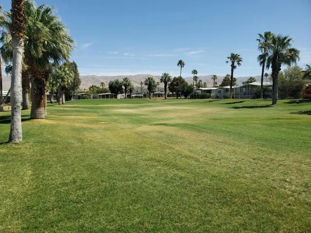 Golf Course