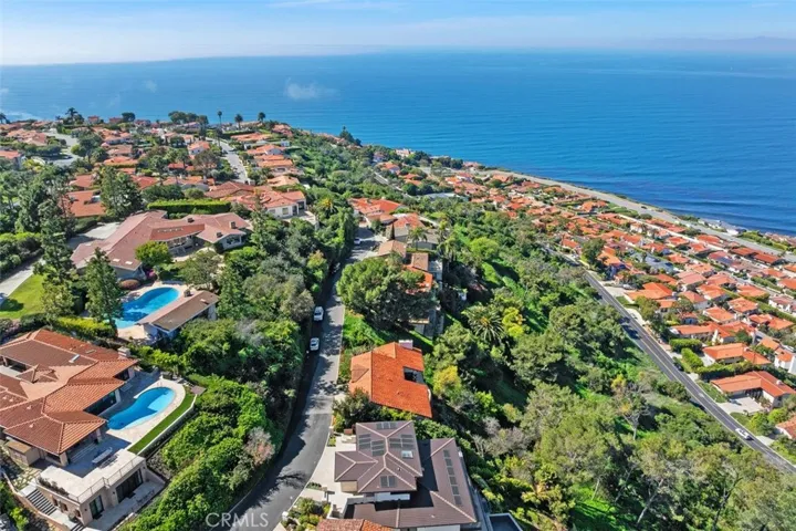 Ariel Street view
