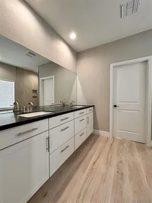 Master bathroom vanity