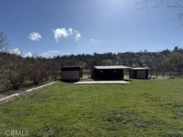 Feed, tack and gardening sheds plus a covered patio area.
