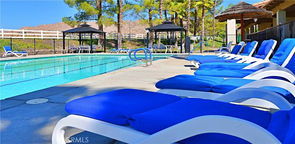 Main Pool Lounge chairs