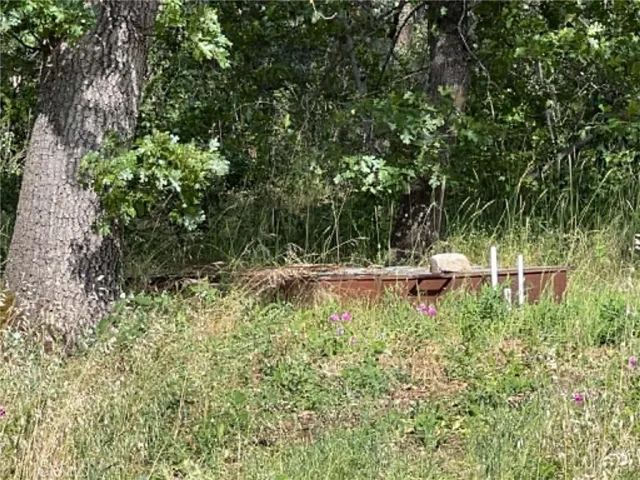 Weir access