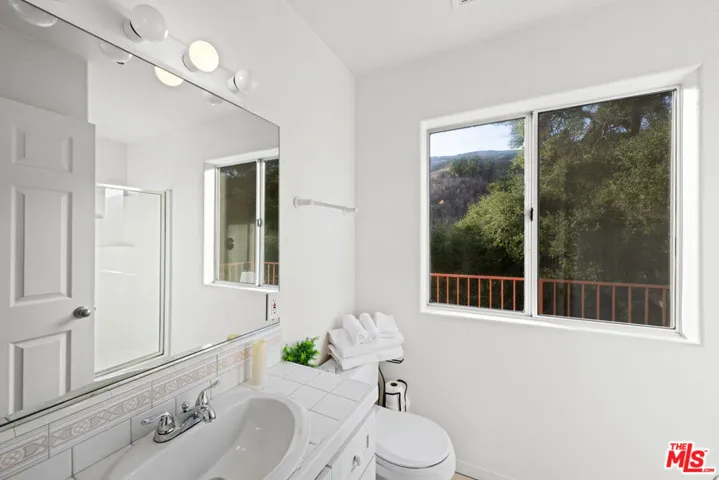 lower level bathroom