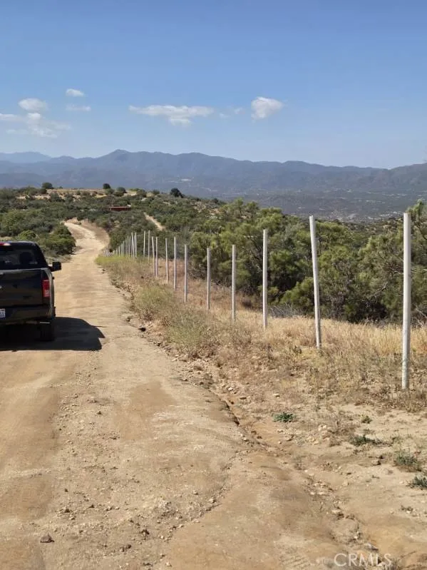 new fencing
