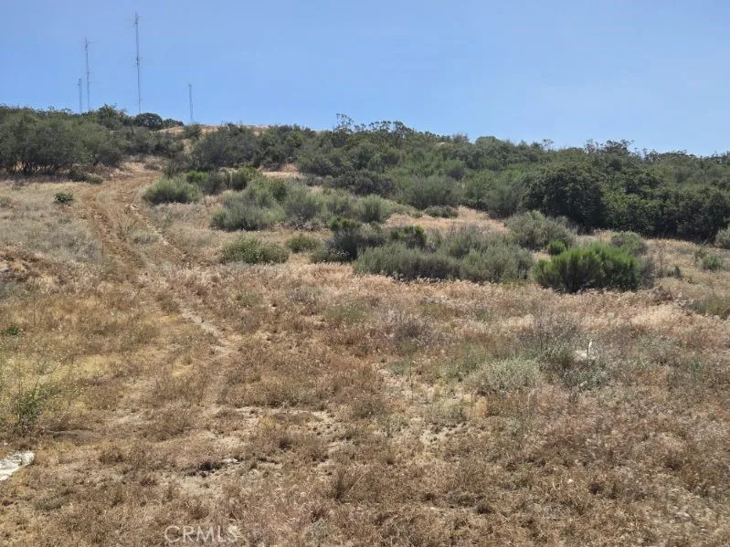 looking up the lot