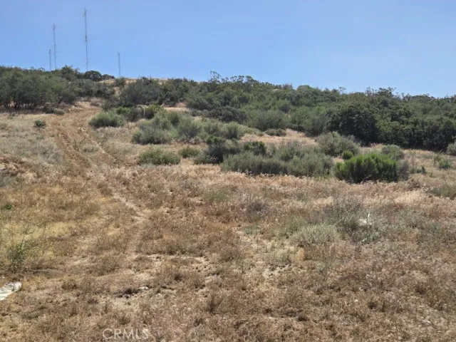 looking up the lot