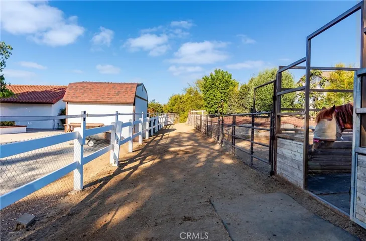 Runs from the shedrow for horses to enter the turnout