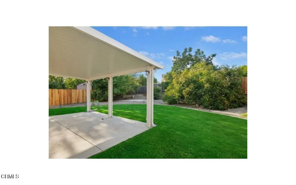 18-Back Yard AI GRASS