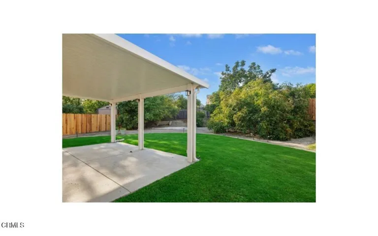 18-Back Yard AI GRASS