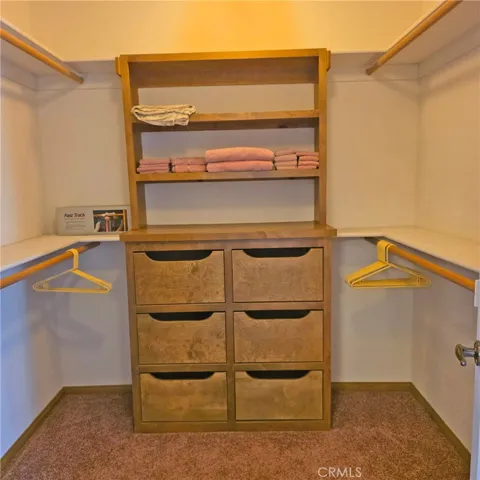Primary Bedroom Walk-in Closet