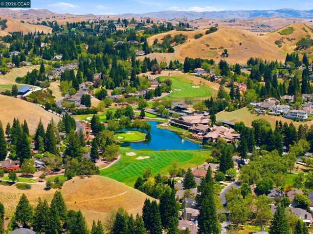 316 Live Oak Dr, Danville, California 94506