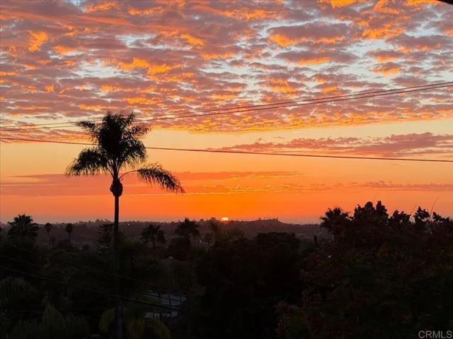 Living Room View